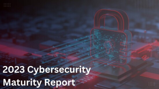 2023 Cybersecurity Maturity Report